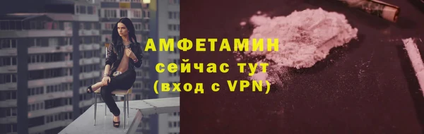 гидра Коряжма