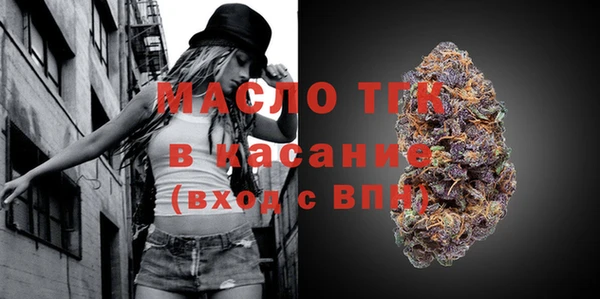 гидра Коряжма