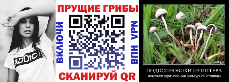 Псилоцибиновые грибы прущие грибы  Киренск 